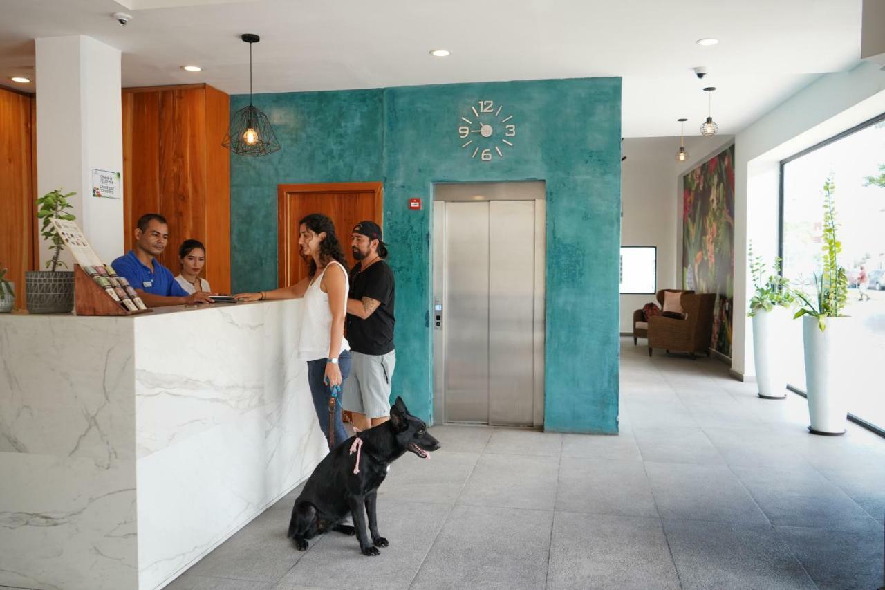 Hotel & Suites Arges - Centro Chetumal Eksteriør billede